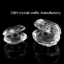 crystal shell gift