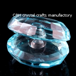 crystal shell gift