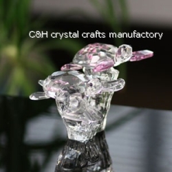 crystal couple tortoise